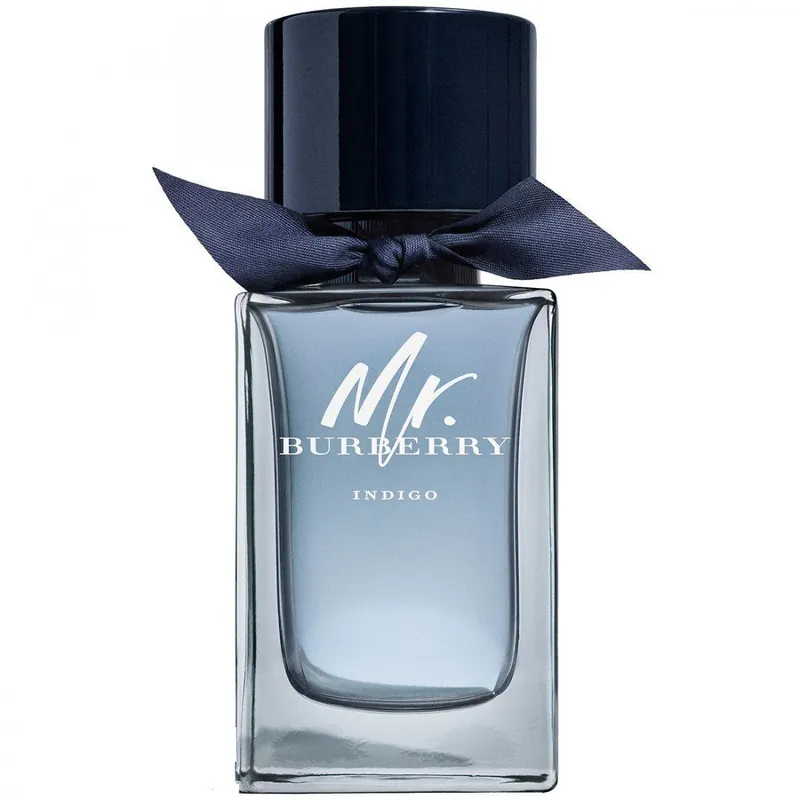 Burberry Mr.Burberry Indigo EdT 100ml | Spara nu